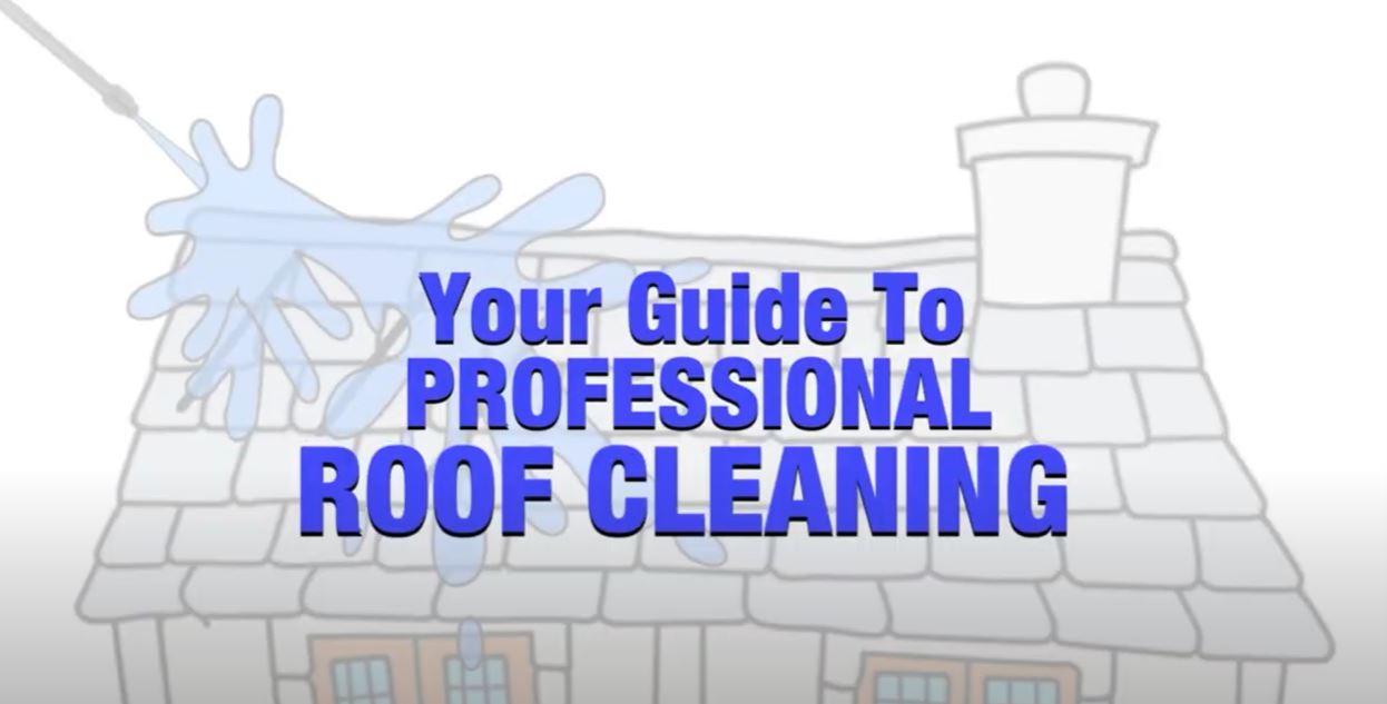 Roof Cleaning Explained
